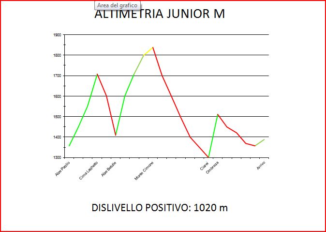 altimetria_junior_m.jpg